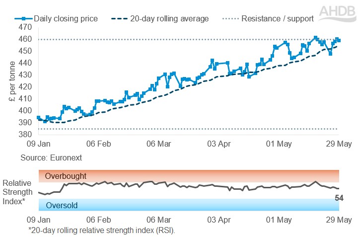 Line graph of Rapeseed futures Nov-26 contract prices over the past six months.